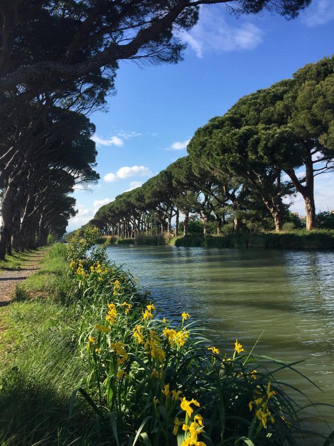 La Passerelle Du Canal Salleles-d'Aude Екстер'єр фото